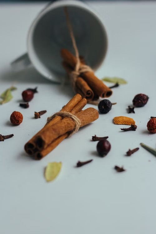 Bundled cinnamon sticks
